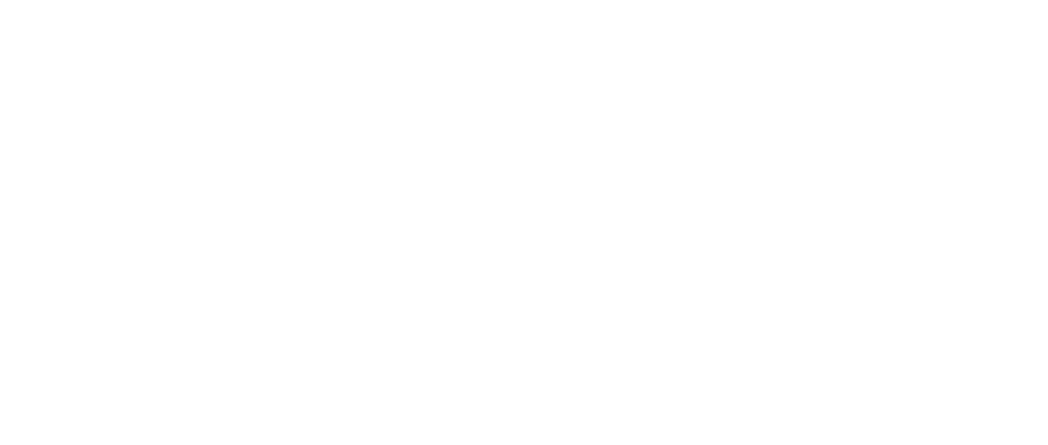 g.s.t el-genidy for software and technical solutions logo
